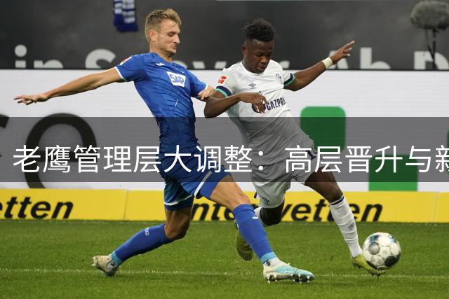 老鹰管理层大调整：高层晋升与新聘战略顾问